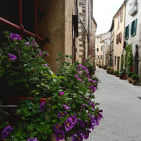 La Salvia Scansano